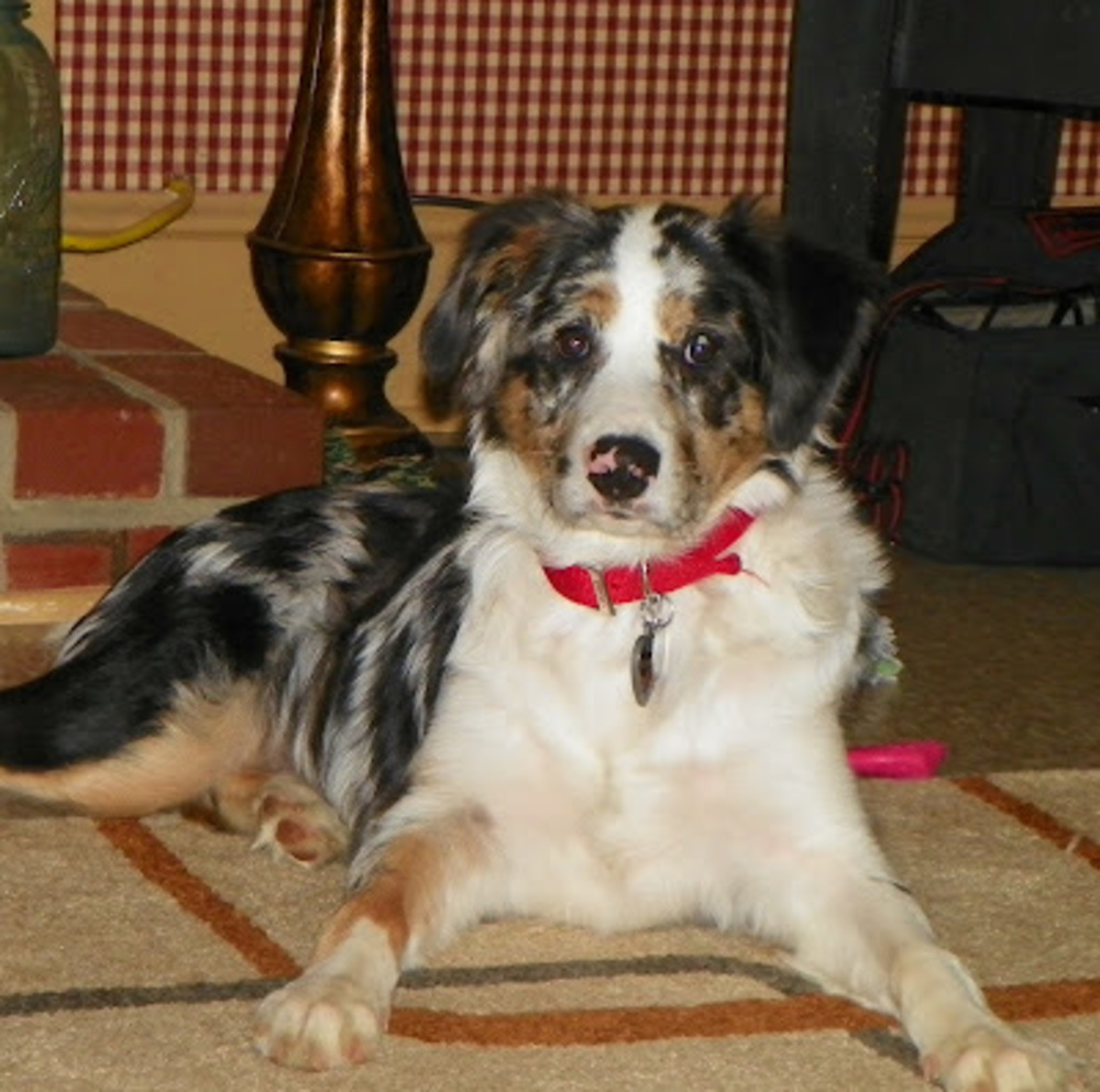 Meet your Posher, Steph